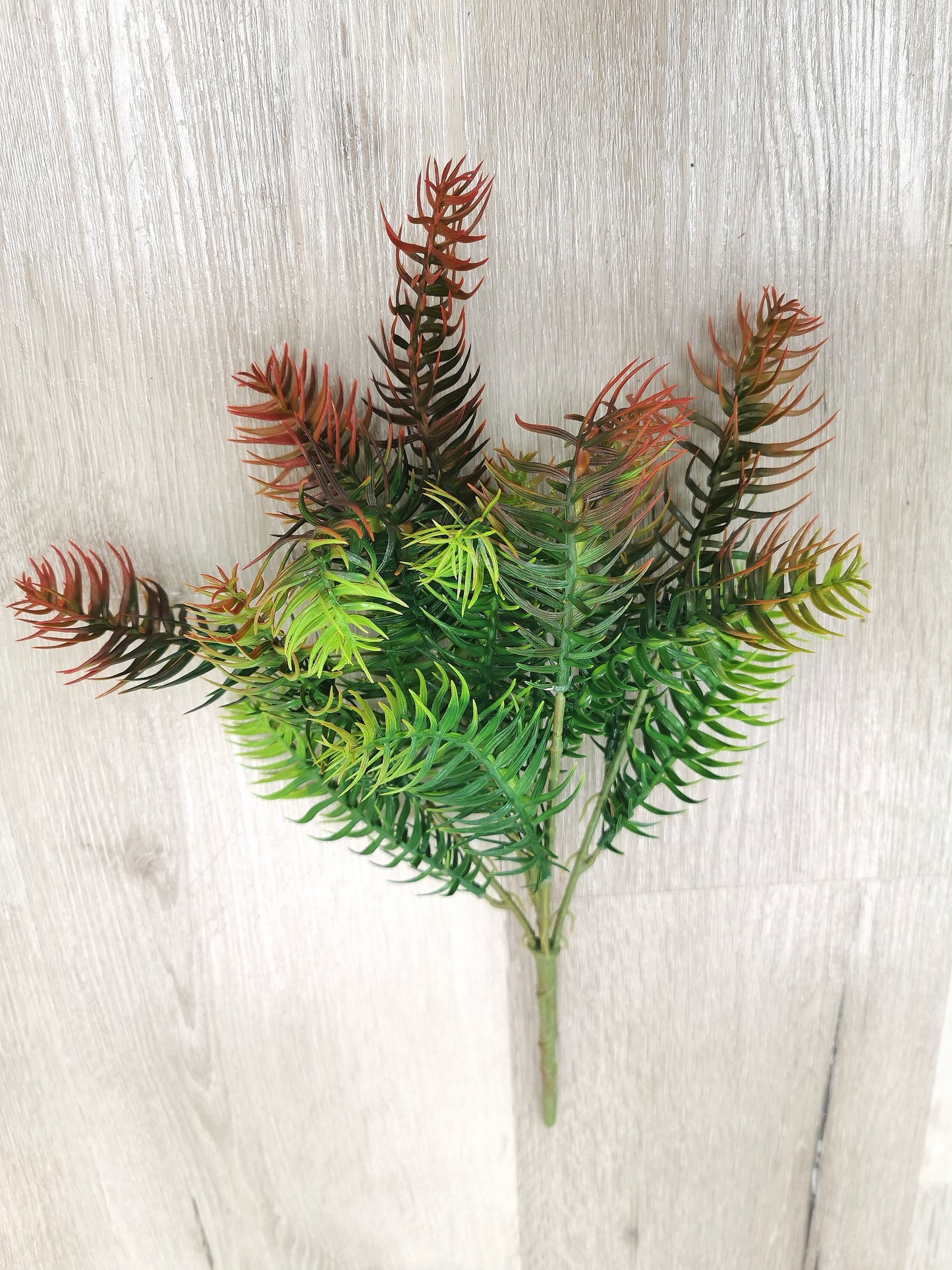 5 heads Araucaria bidwillii leaf, available colors: Green and Dark Green