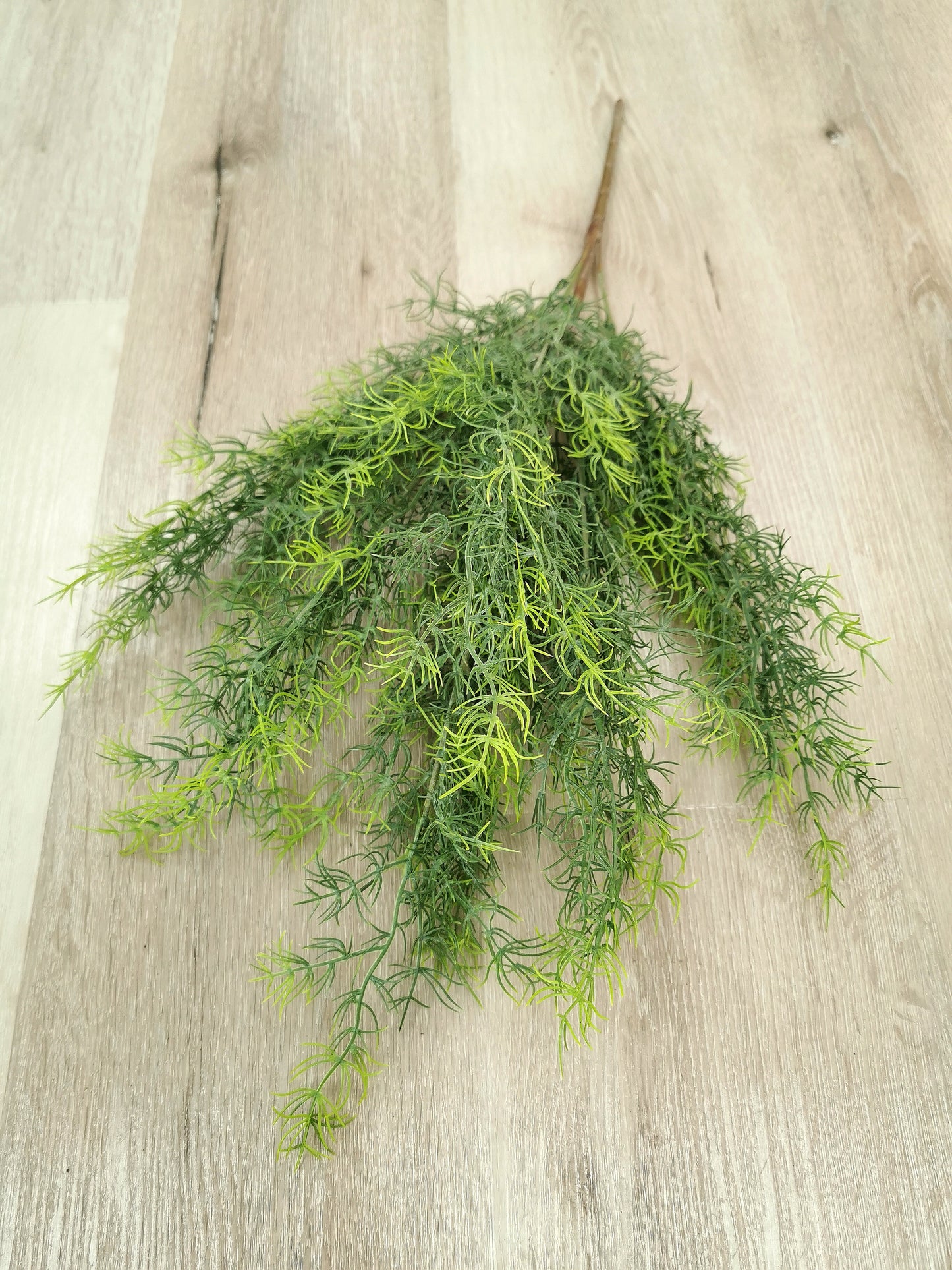 Green Asparagus Grass Bunch
