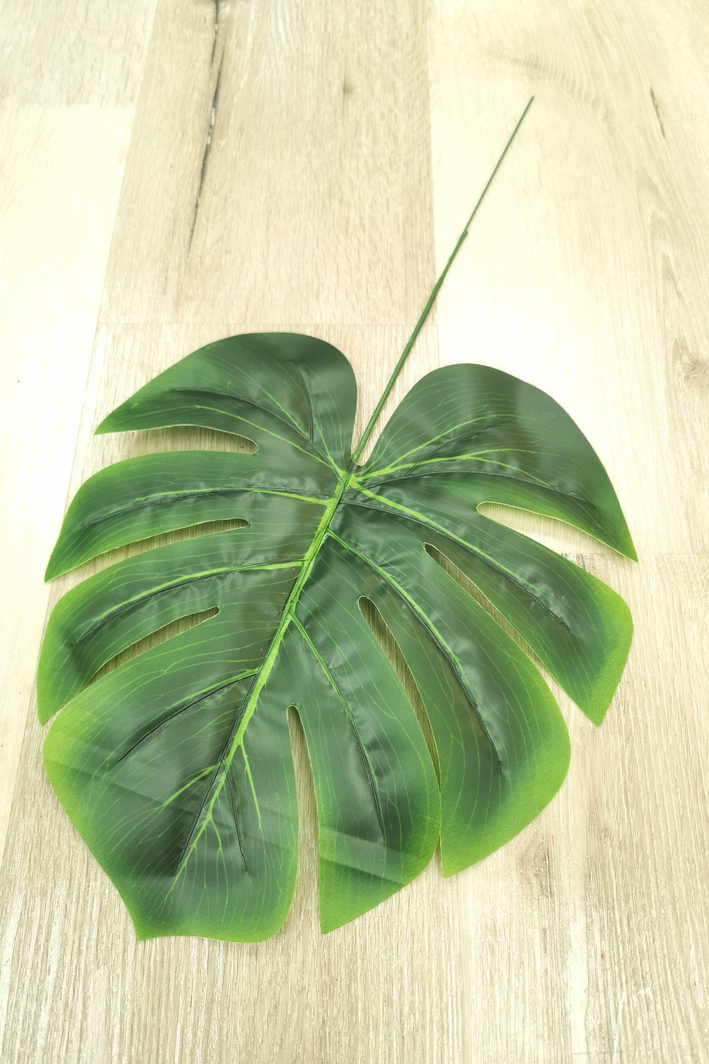 Green Monstera Leaf