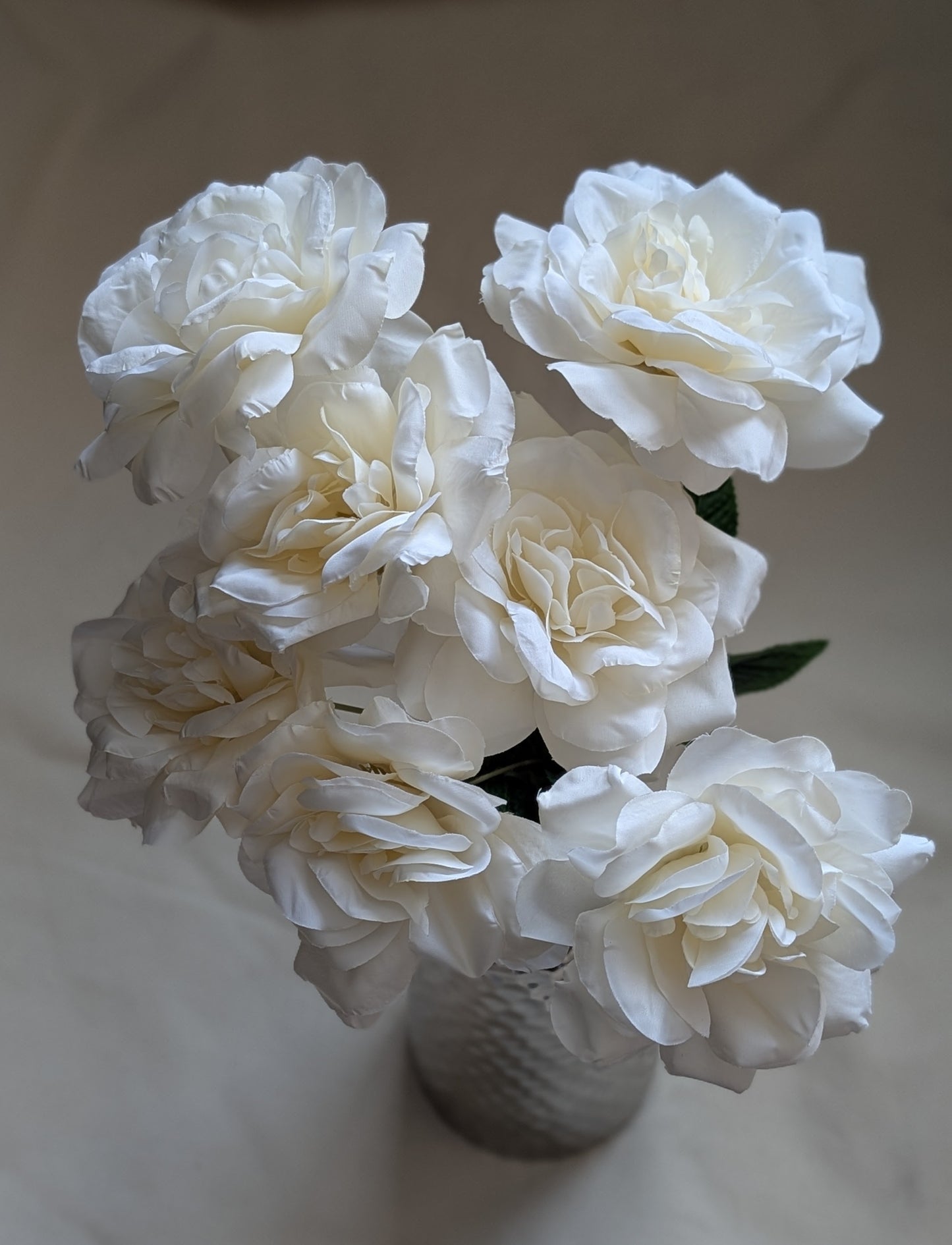 7 heads rose (Champagne)