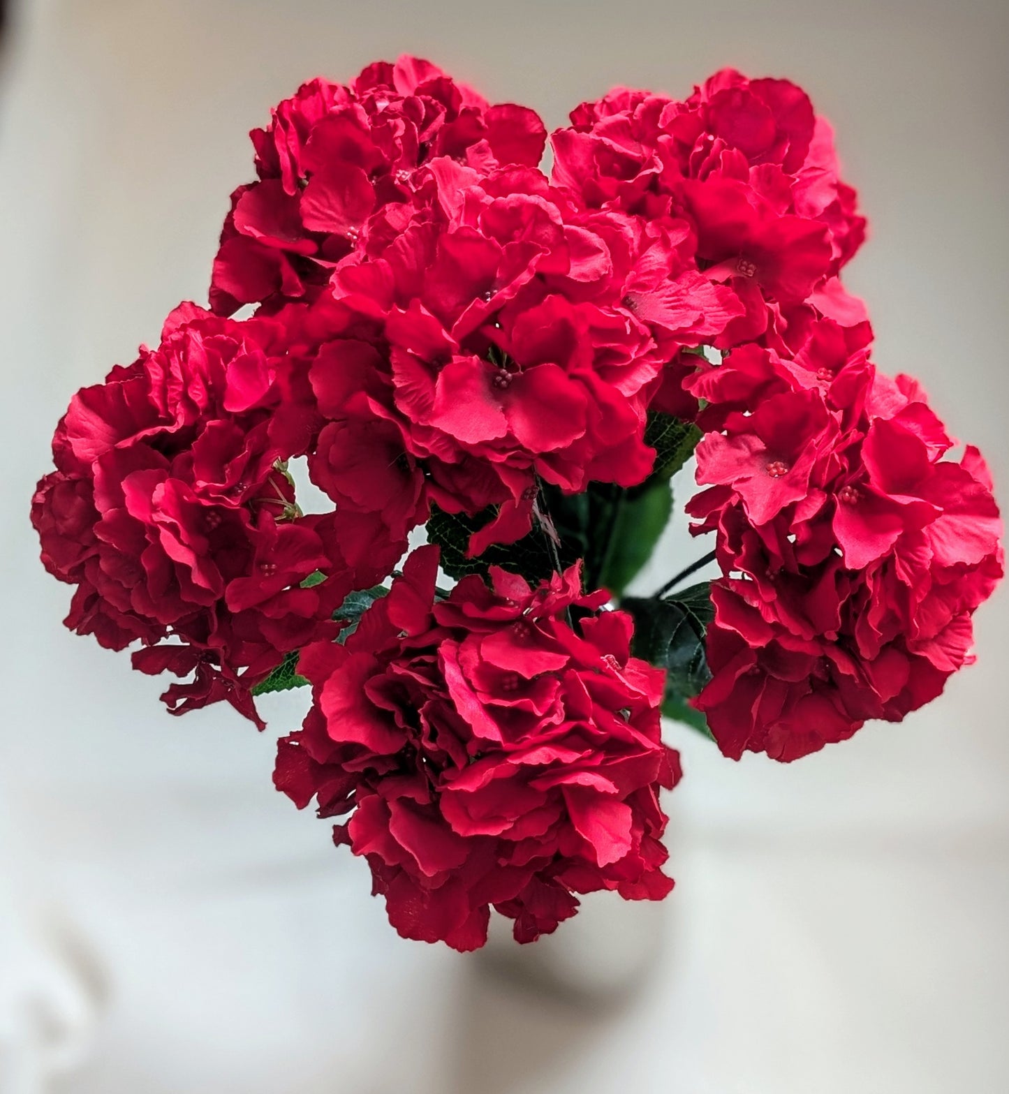 6 heads Hydrangea (large petals), 5 available colors: White, Hot Pink, Red, Purple, and Orange