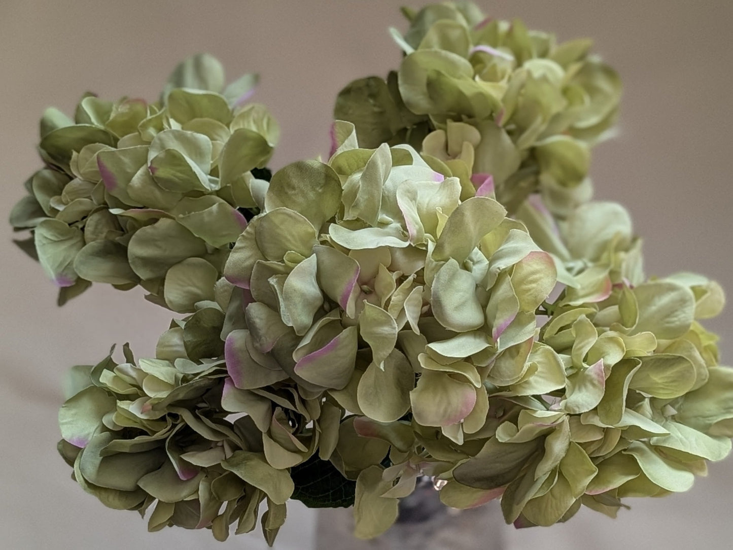 Green Artificial Hydrangea – 5 Heads (Large Petals)