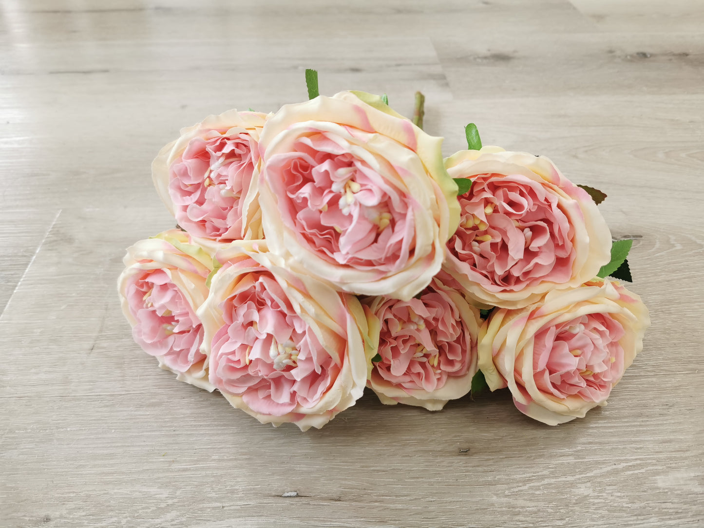 Tea Rose, available in 7 colors: Cream white, Champagne, Pink, Light purple, Dark purple and Red