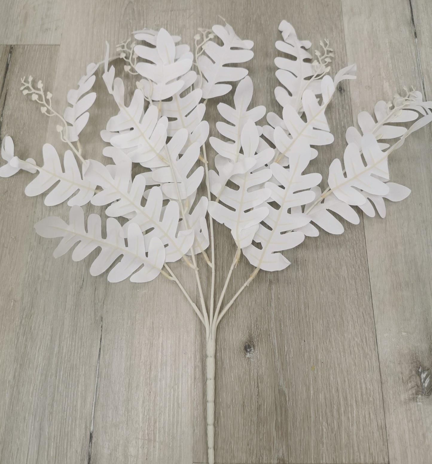 White leaf