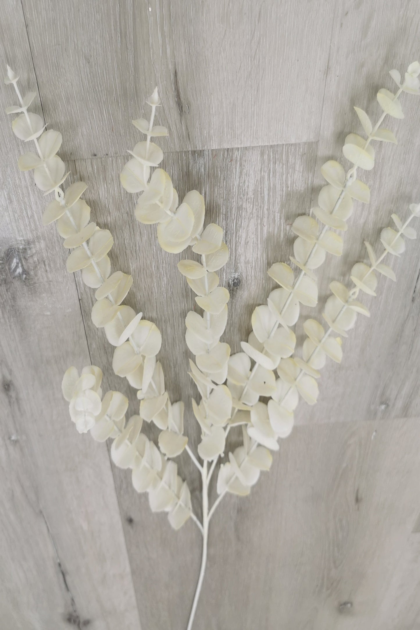 Cream White Leaf