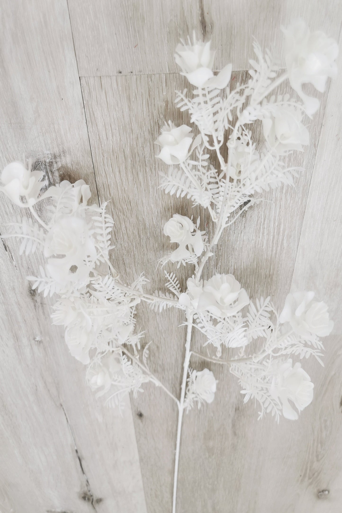 A top of flower with white leaves
