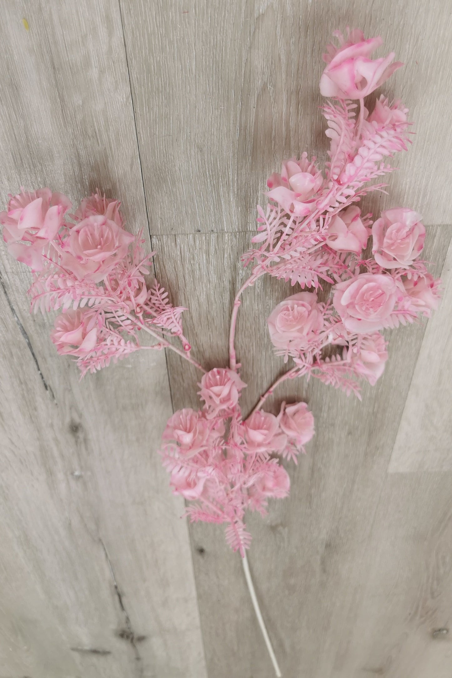 A top of Pink flower with Pink leaf
