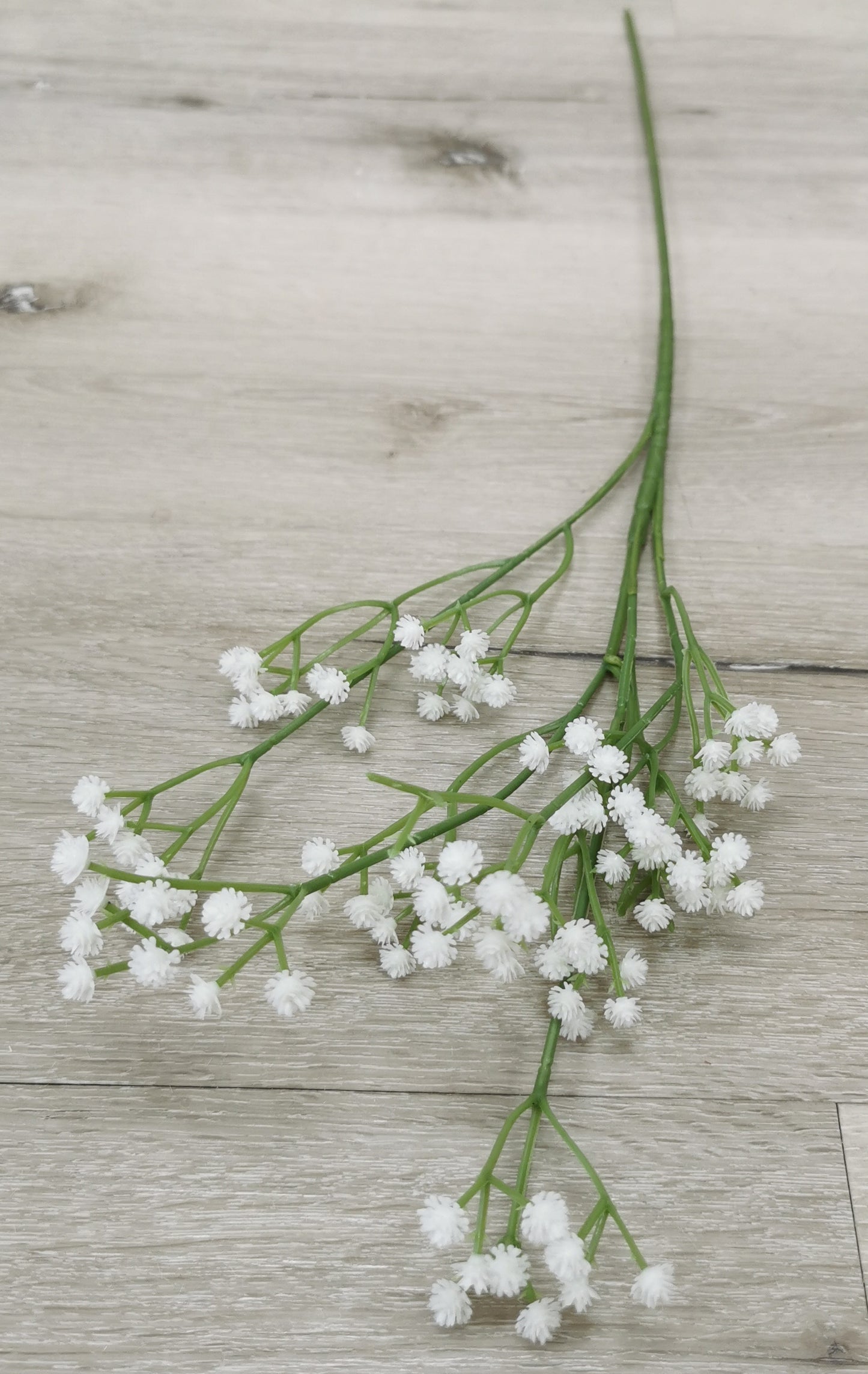 Baby's -Breath