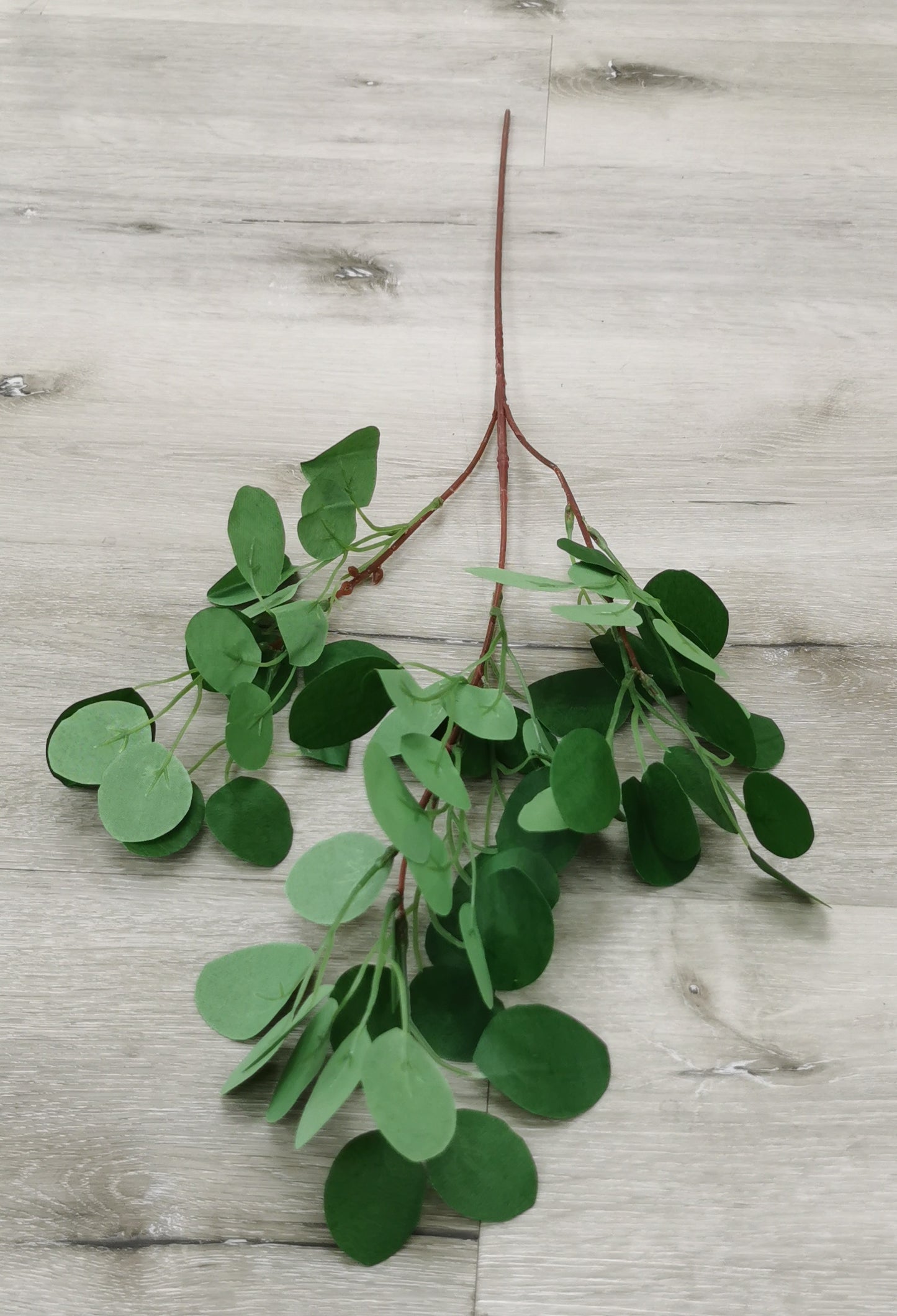 Green leaf