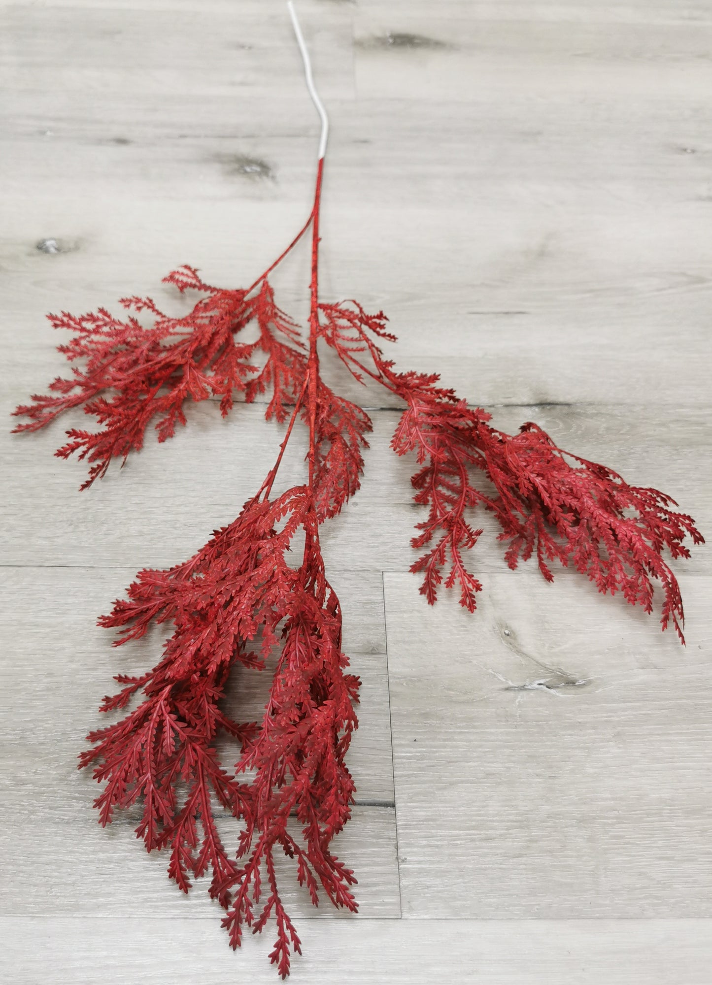 Red leaf