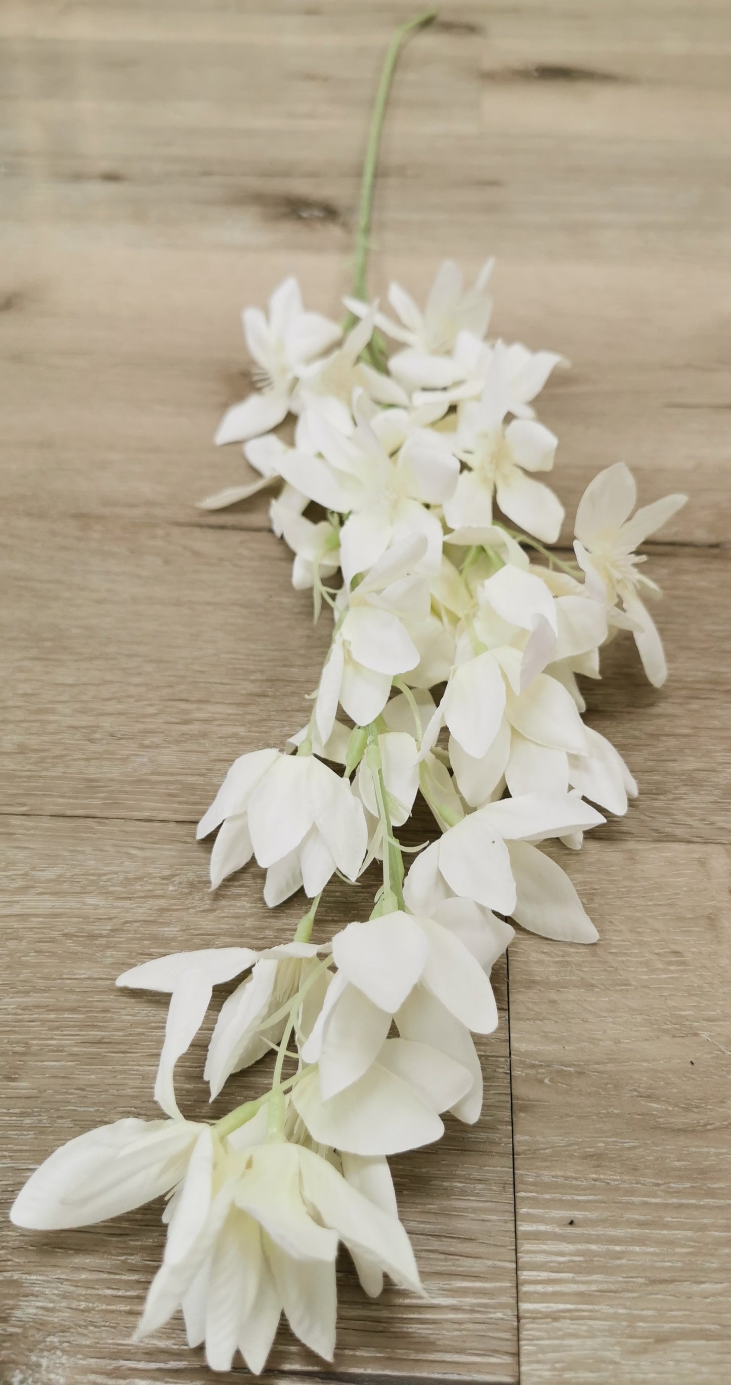 White leaf