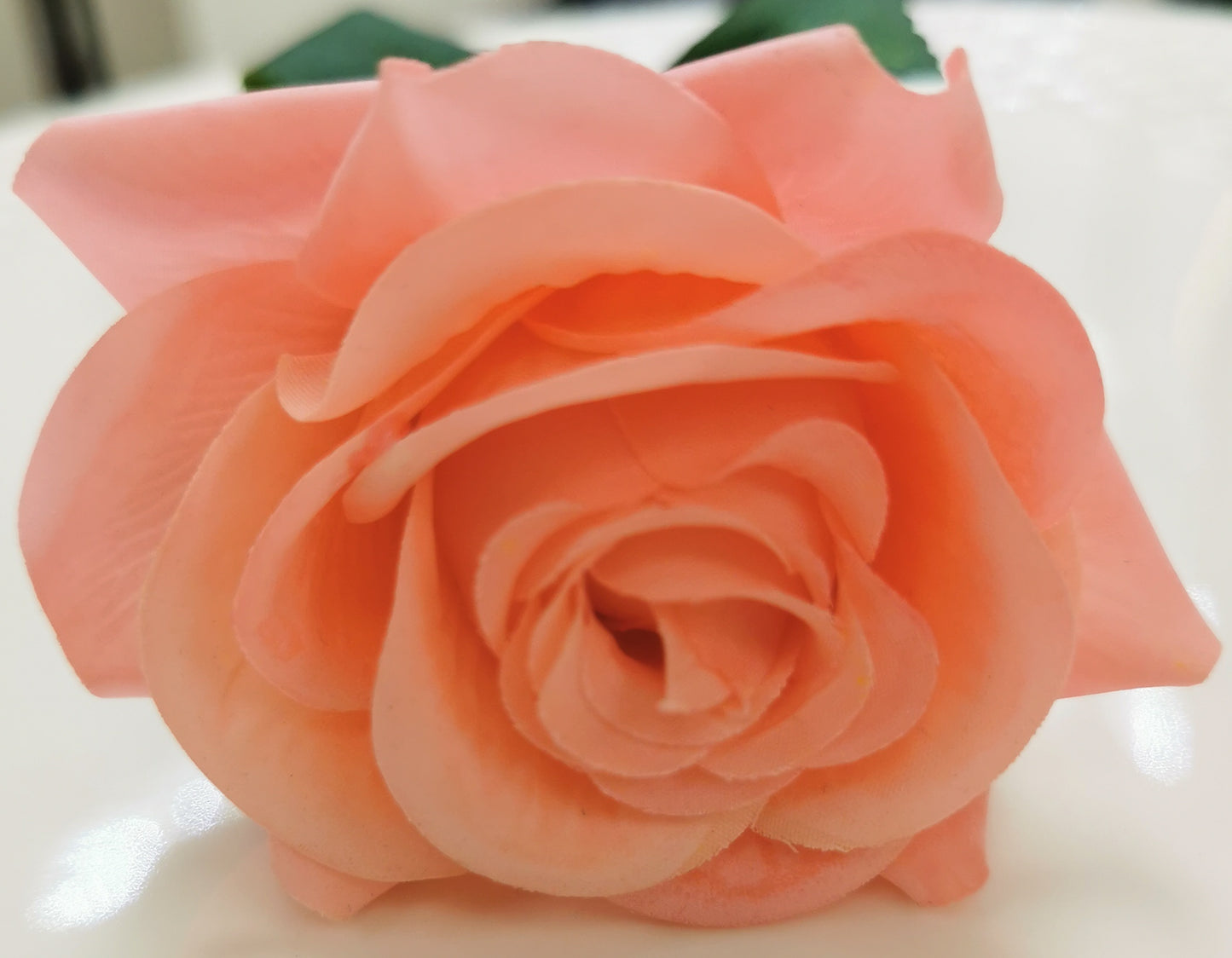 Single real touch Rose