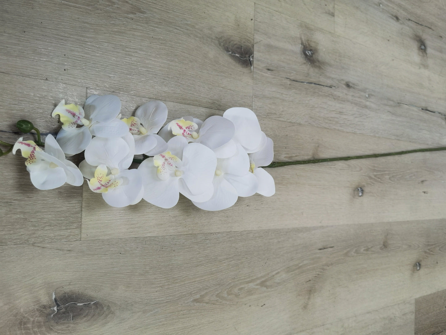 White Artificial Orchid