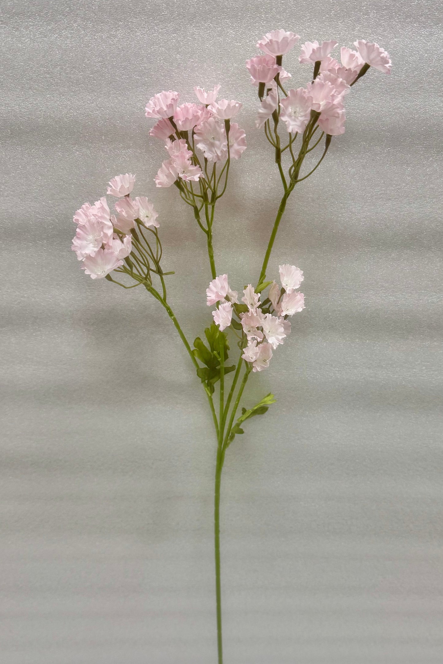 Pink Ruffled Blossom Stem