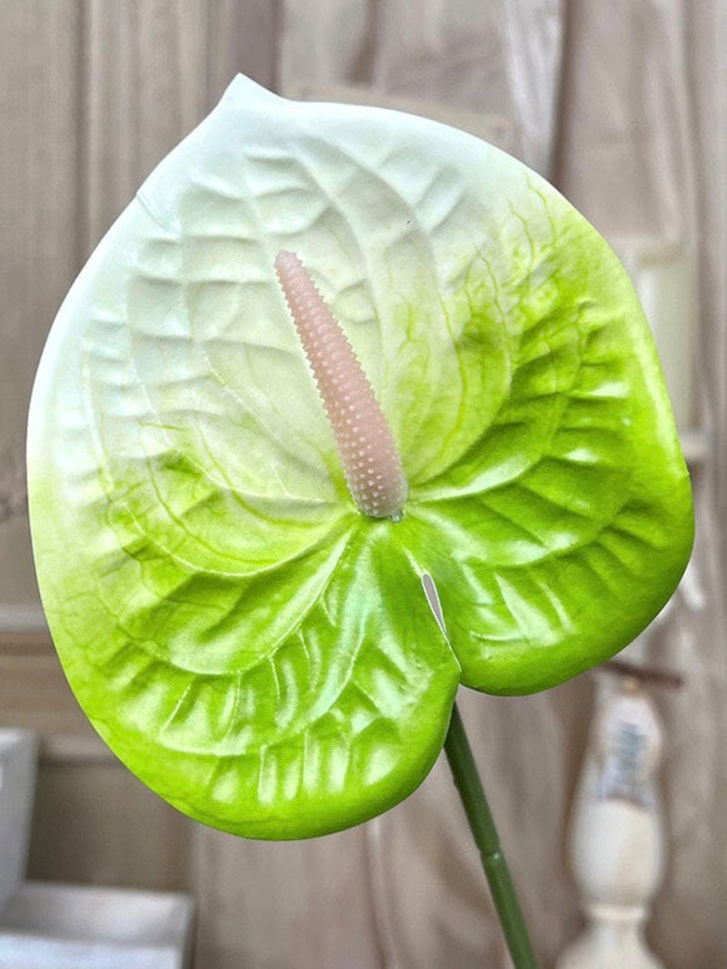 Artificial White-Green Anthurium Spray – Long Stem for Event Arrangements