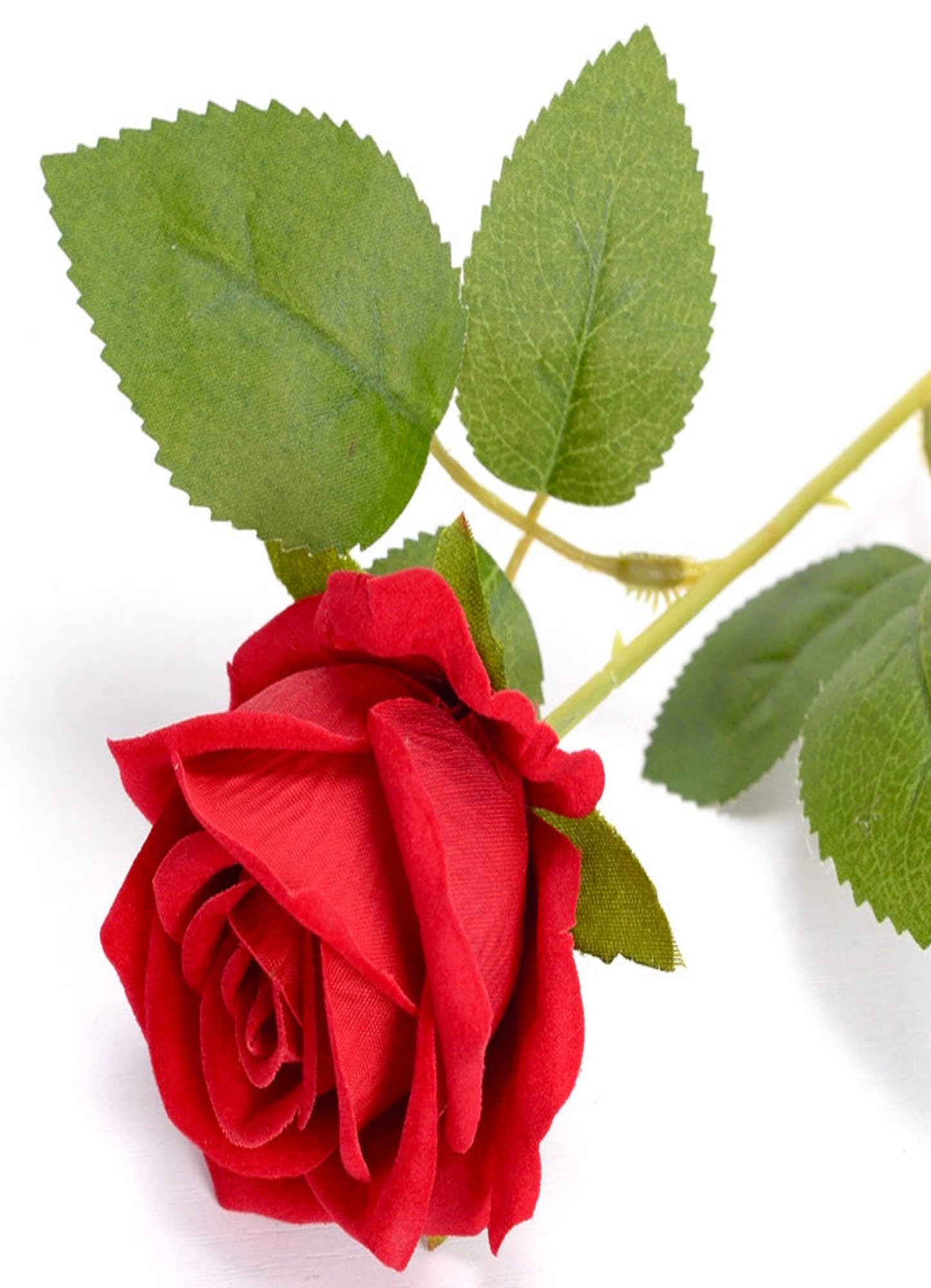 Artificial Red Silk Rose Stem – Long Stem for Event Arrangements