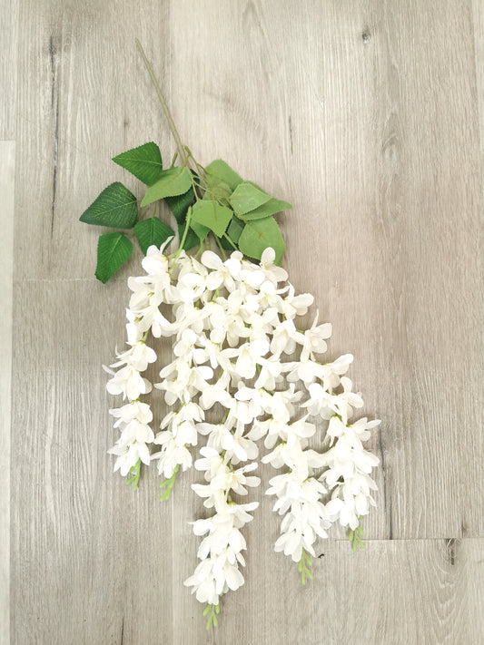 Wisteria, white 30cm