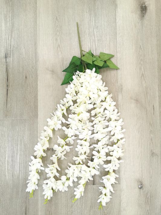 Wisteria, white 60cm