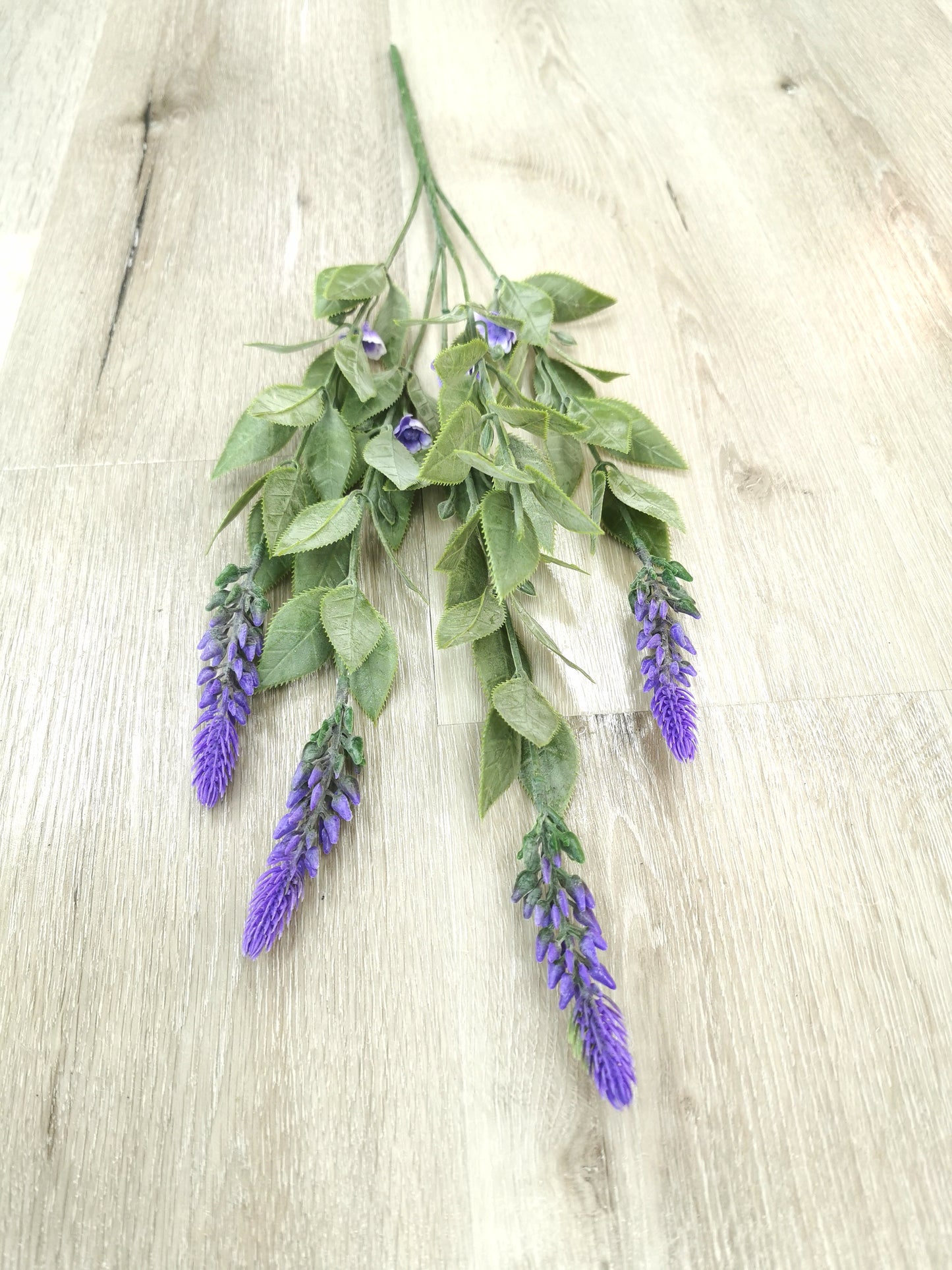 Lavender with leaf