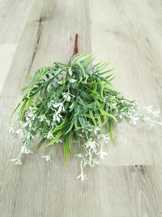 Green leaf bunch with white tiny flowers.