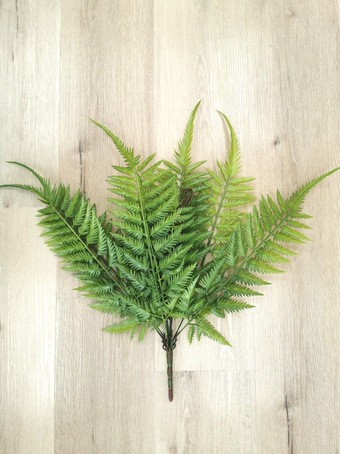 Curly Fern leaf bunch, available colors: Green and Red