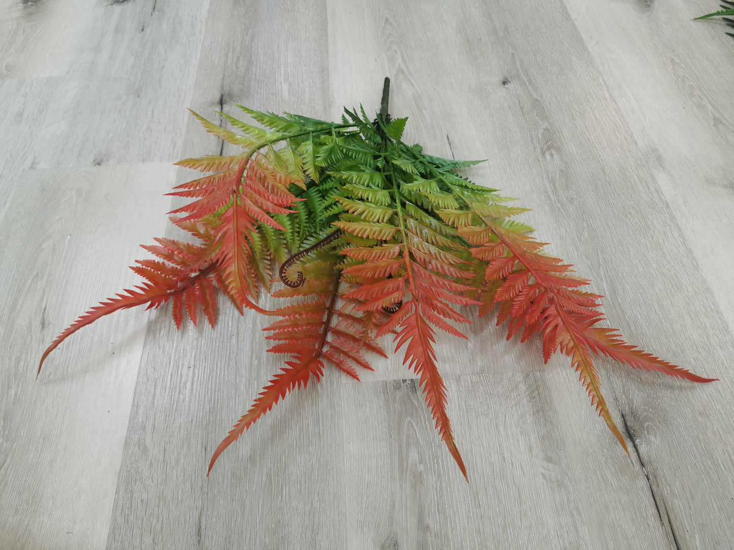 Curly Fern leaf bunch, available colors: Green and Red