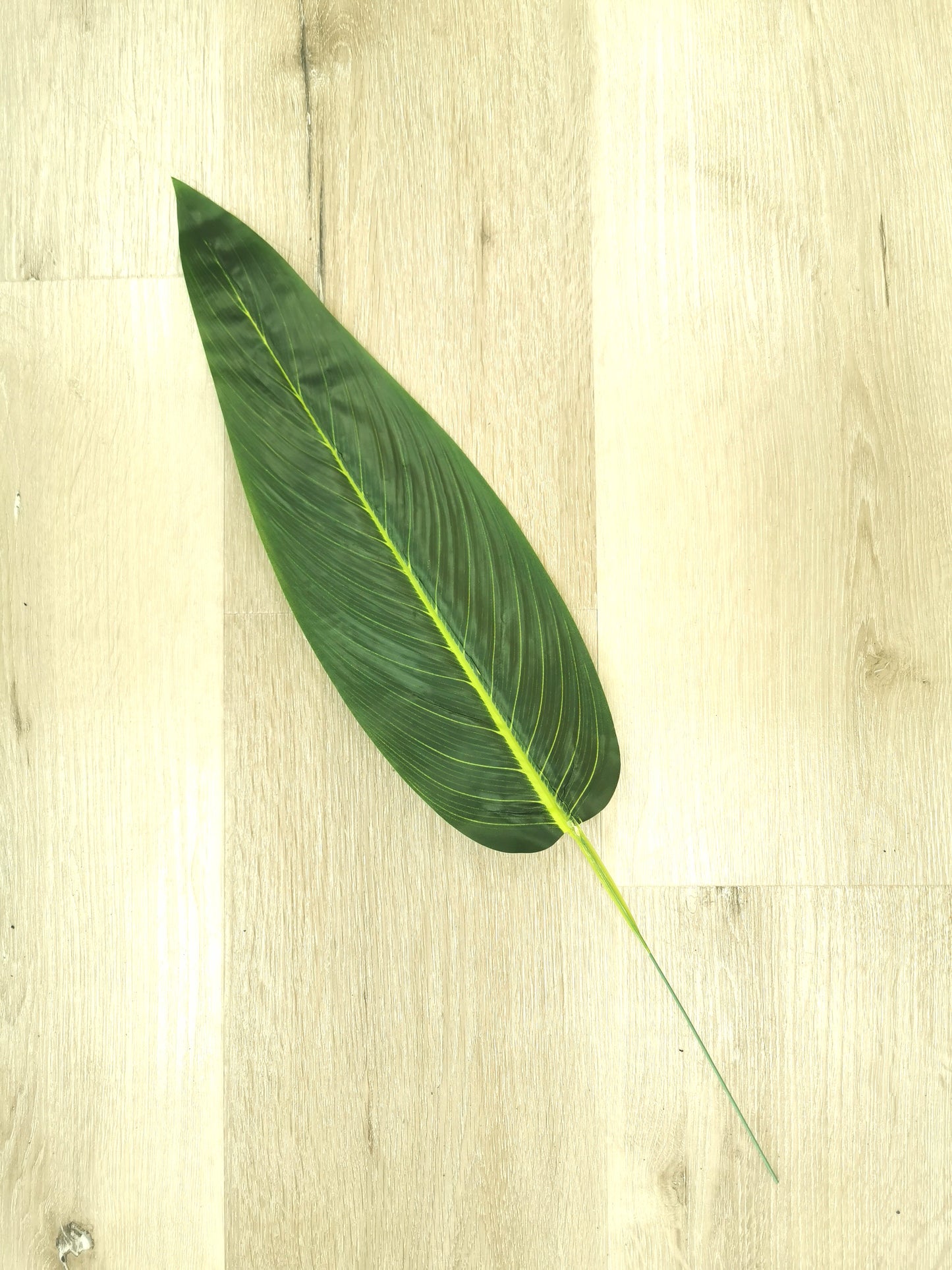 Banana leaf, 2 sizes available: 15" and 17"