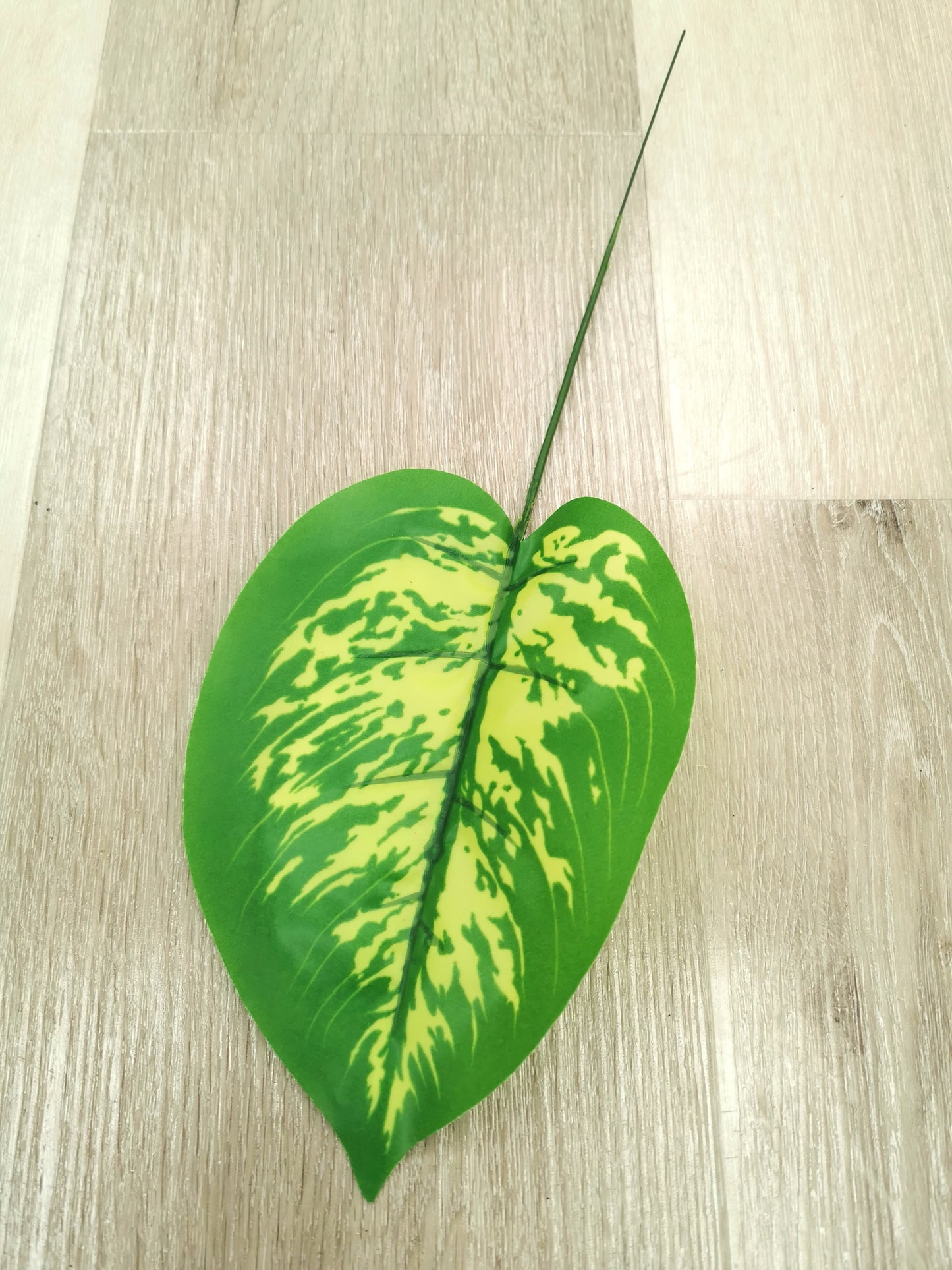 Small Monstera Leaf with 2 colors: green and red