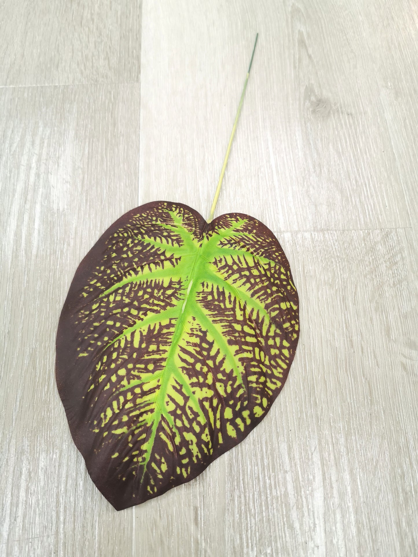 Small Monstera Leaf with 2 colors: green and red