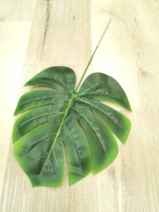 Green Monstera Leaf