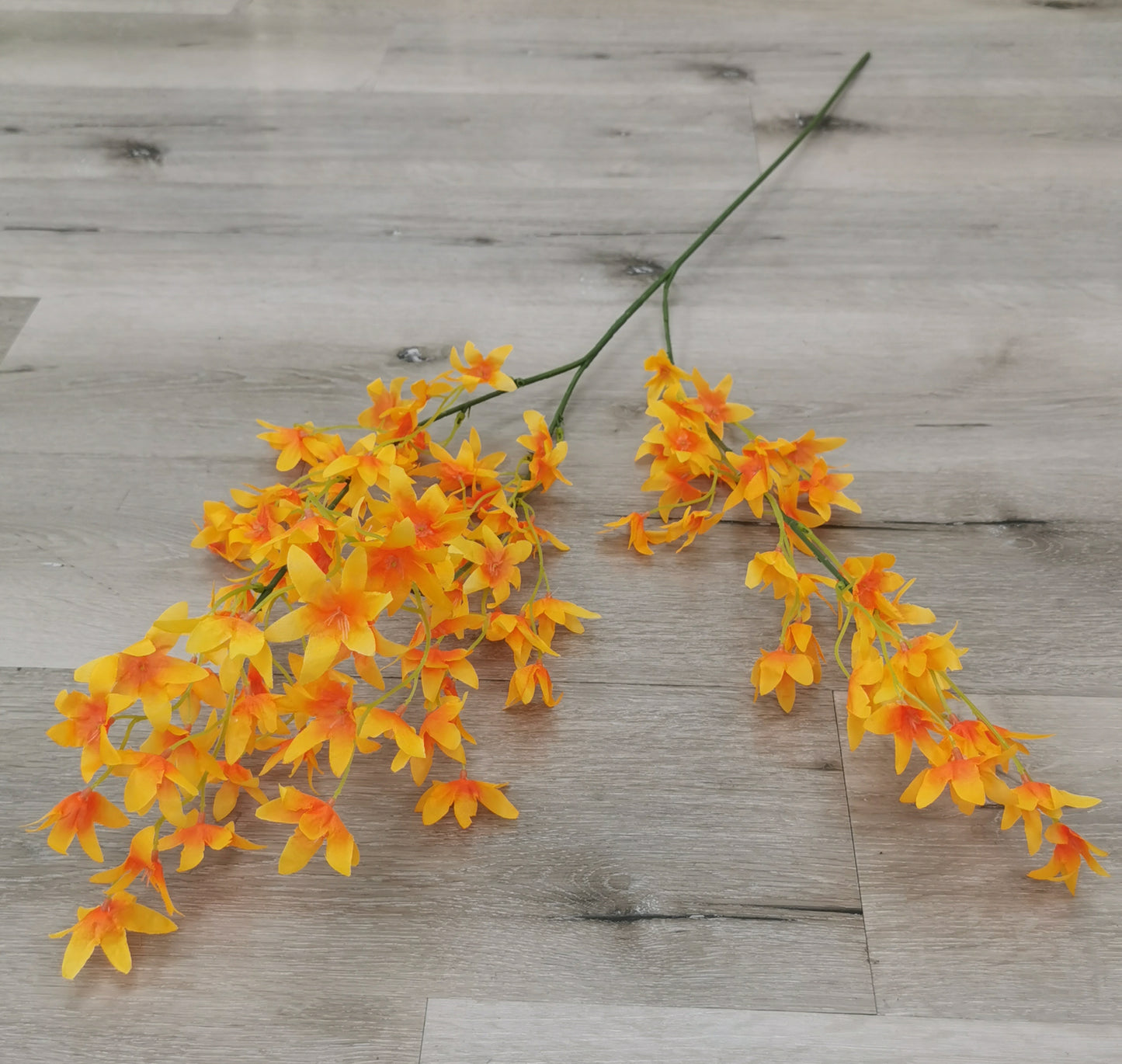 Long Branch Orange Flowers