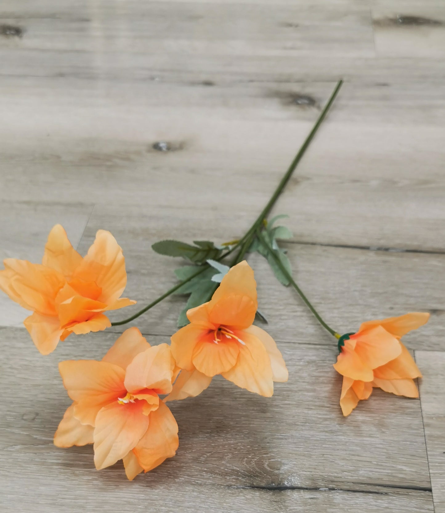 4 Heads Orange flowers