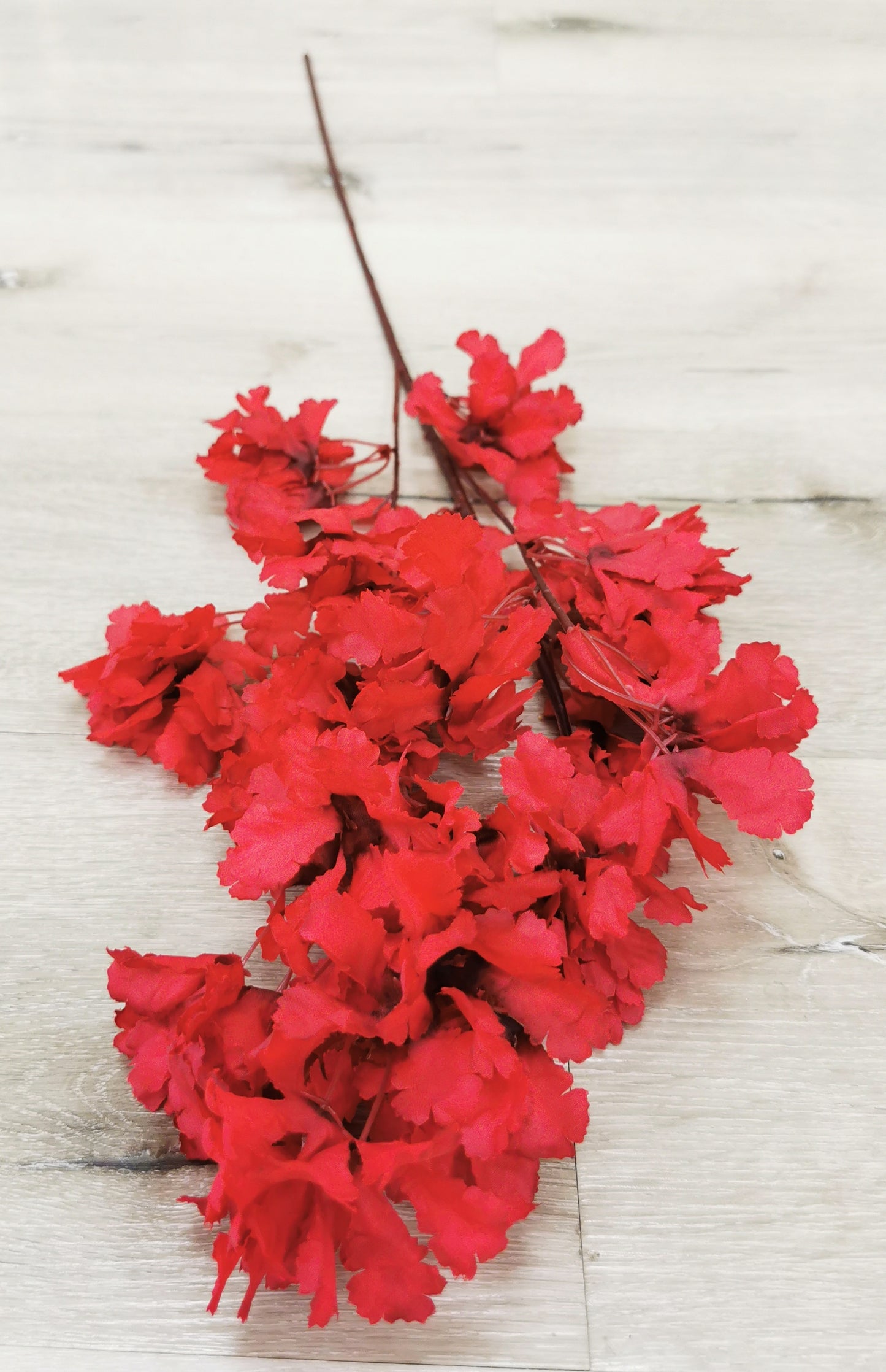 Long Branch Red flowers