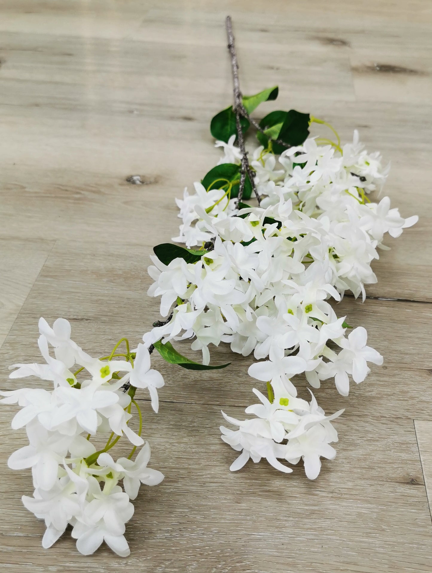 White lilac