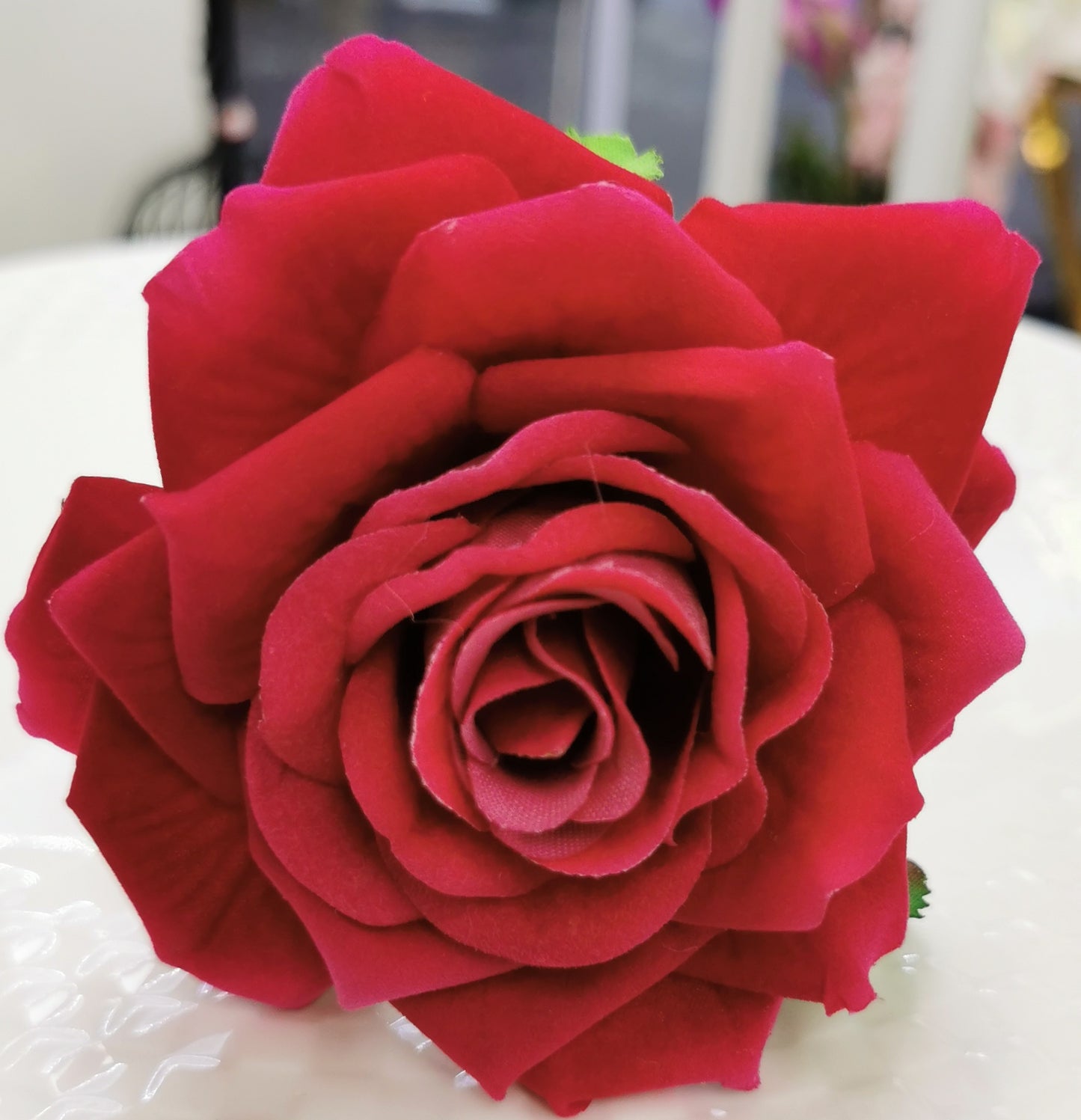 Single velvet Rose