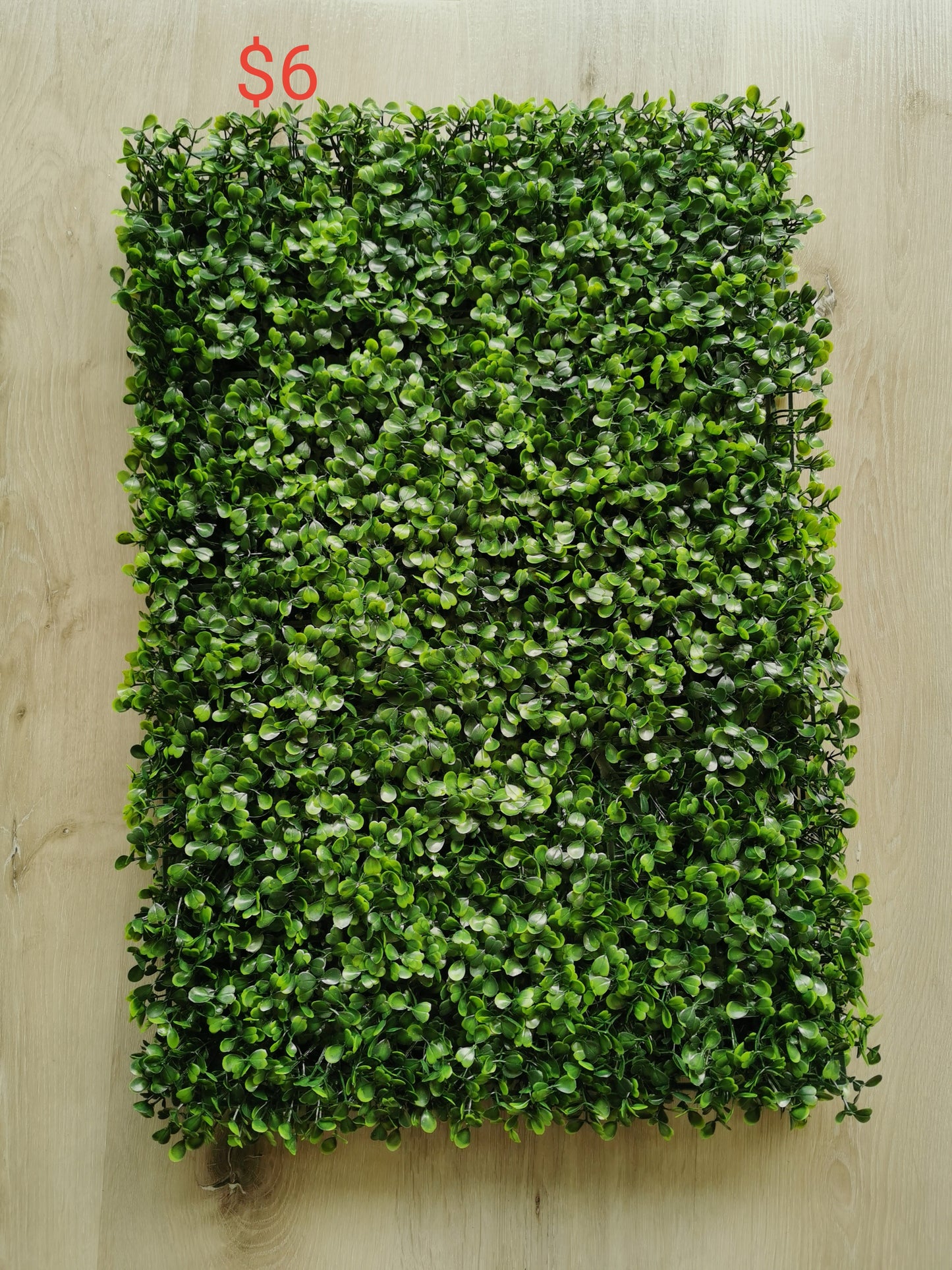 Boxwood panel (40cm x 60cm)