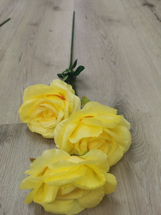 3 Heads Yellow Rose