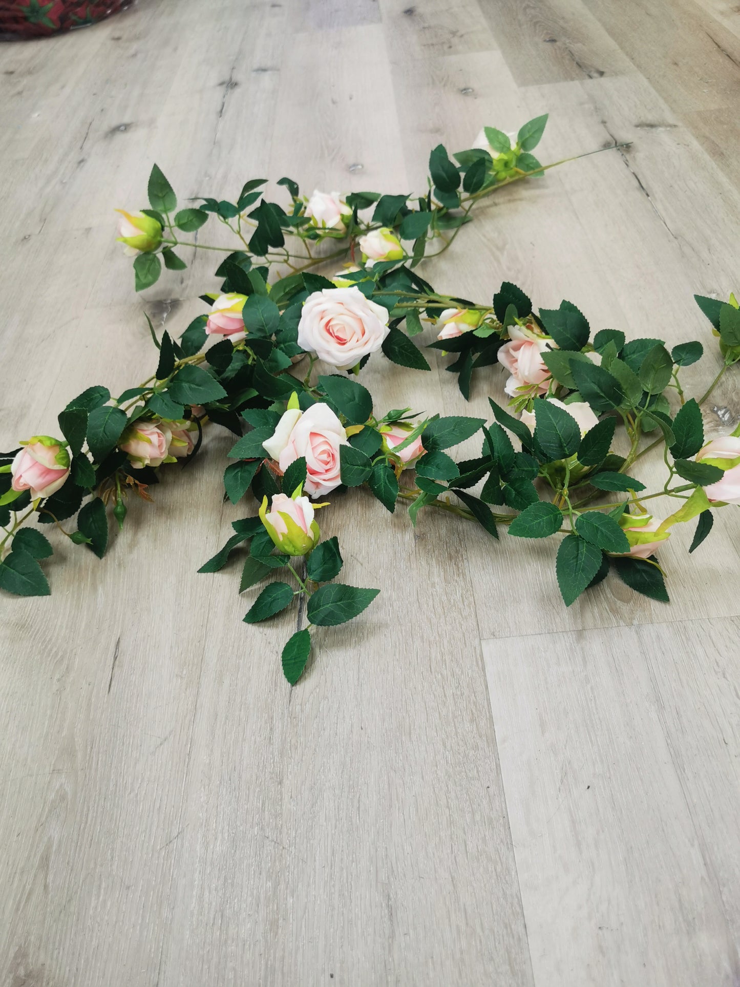 Hanging Pink Rose with Green leaves