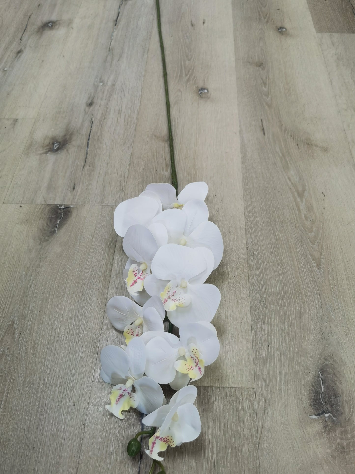 Artificial White Orchid