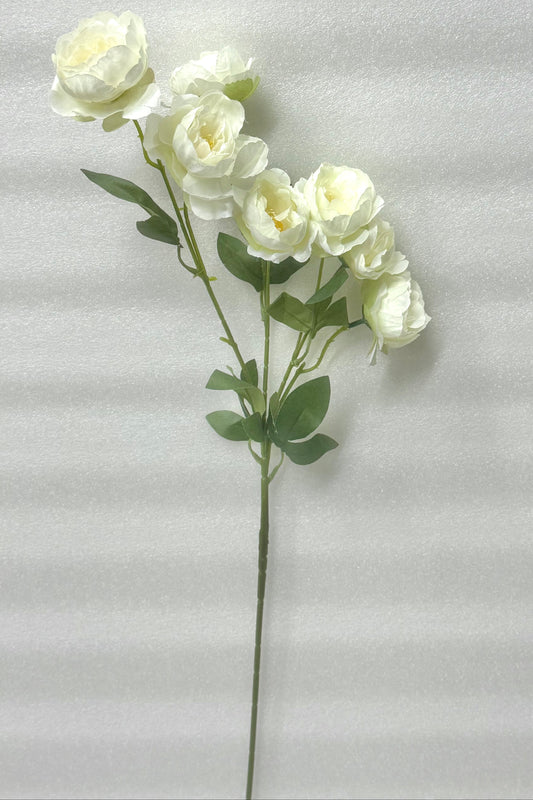 White Peony Stem - 7 Heads