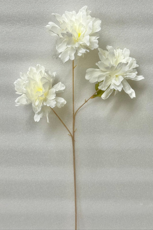 White Peony Stem - 3 Heads