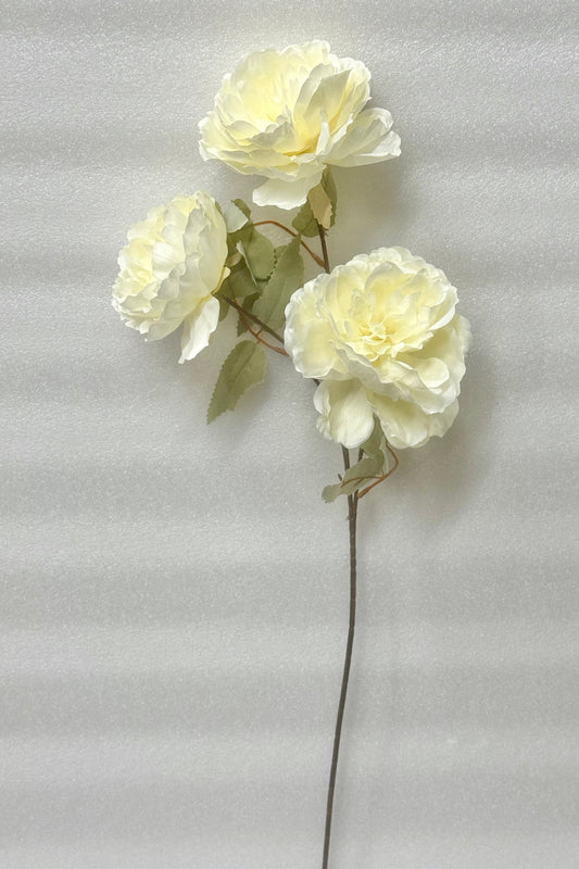 Cream White Peony Stem - 3 Heads