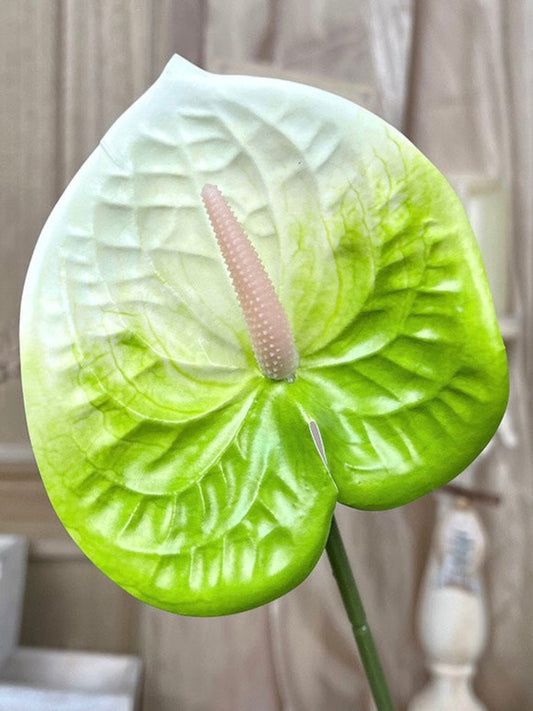 Artificial White-Green Anthurium Spray – Long Stem for Event Arrangements