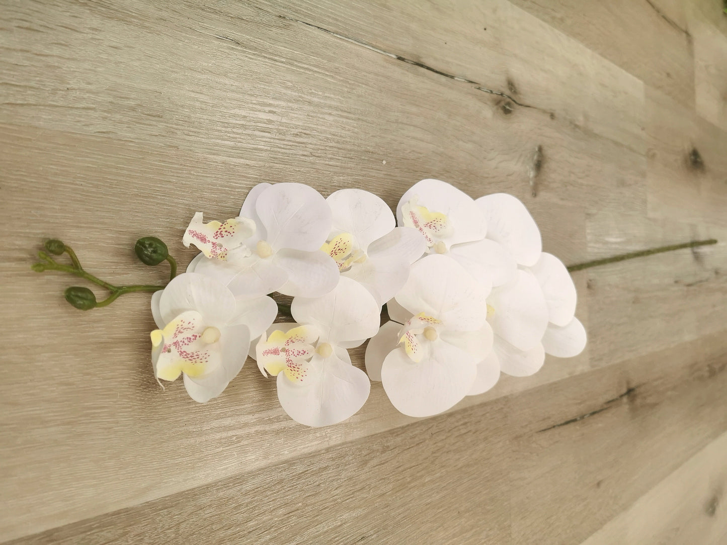 Artificial Orchid, available colors: White and Purple