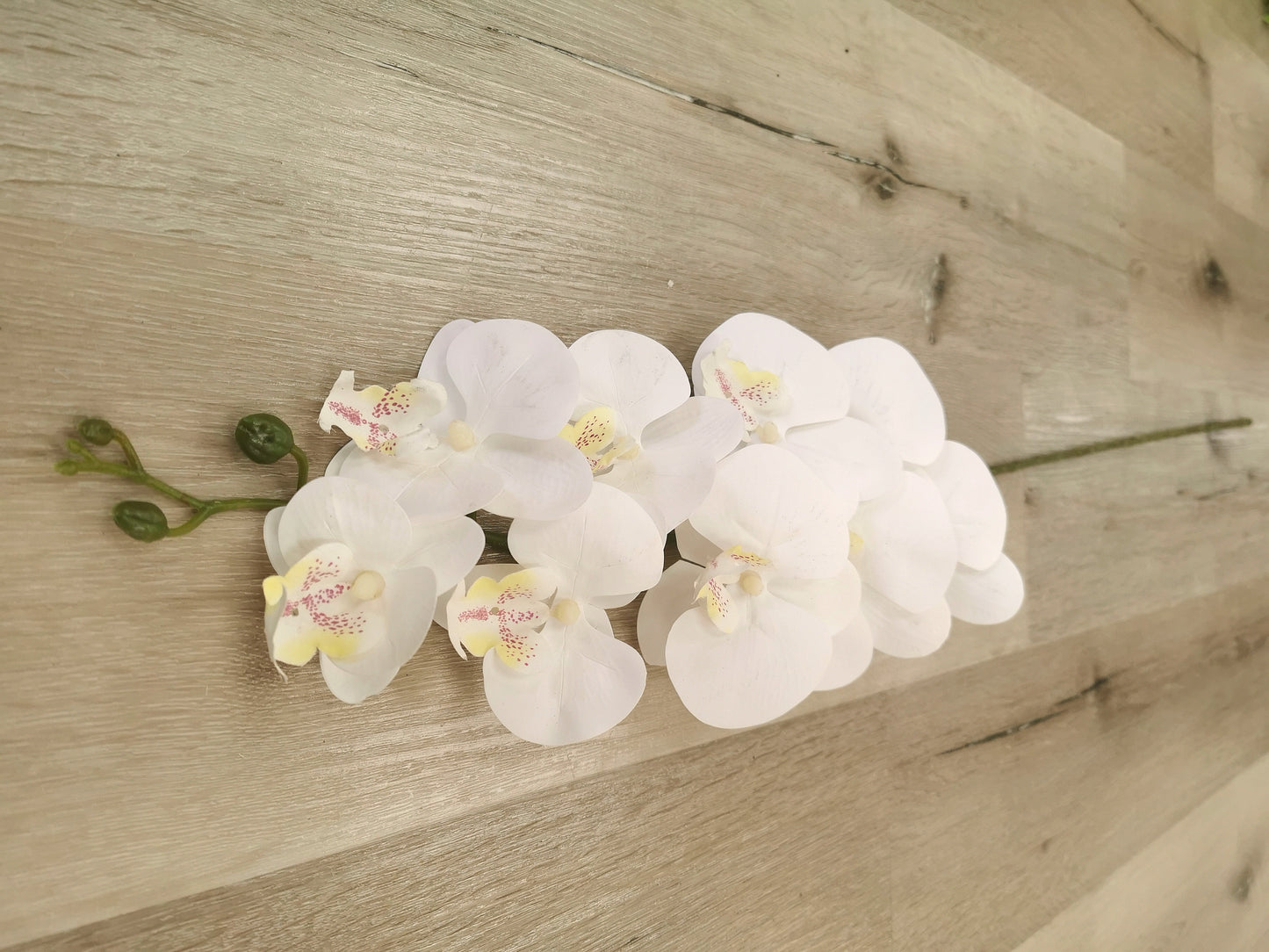 Cream Real Touch 3D Orchid