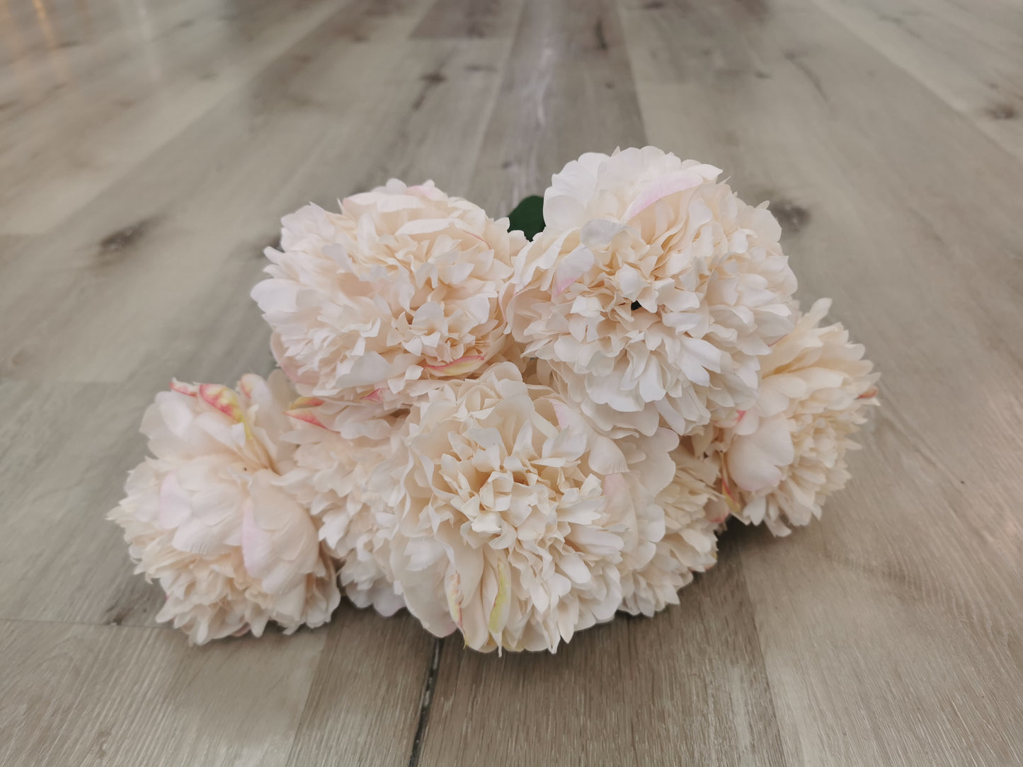 Japanese Peony with 4 colors: White, Champagne, Pink and Burgundy